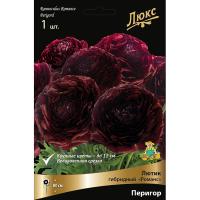 Лютик гибридный Романс Перигор /К 839689