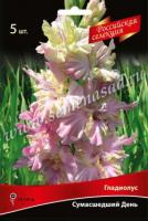 Гладиолус Крупноцветковый Российская селекция Сумасшедший день (12/+) 5 шт