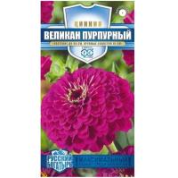 Цинния Великан пурпурный 0,3г Цинния Великан пурпурный 0,3г