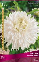 Георгина декоративная Киев (I) 1 шт