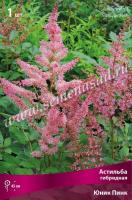 Астильба гибридная Юник Пинк