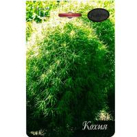 Кохия Королевский замок 20*1  Кохия Королевский замок 20*1