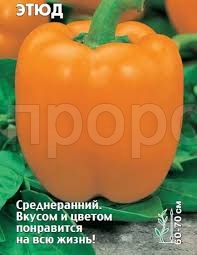 Перец сладкий Этюд 0,3г