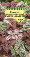 Гипоэстес Капли акварели 4 шт Гипоэстес Капли акварели 4 шт