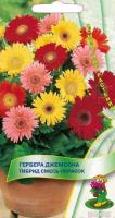 Гербера Джемсона Гибрид смесь 10шт Гербера Джемсона Гибрид смесь 10шт