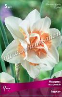 Нарцисс Махровый Реплит (12/14) 5шт.