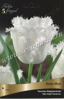 Тюльпан Бахромчатый Ханимун (11/12) 10 шт