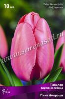 Тюльпан Дарвинов гибрид Пинк Импрешн (11/12) 10 шт