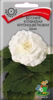 Бегония клубневая крупноцветковая Белая 5шт Бегония клубневая крупноцветковая Белая 5шт