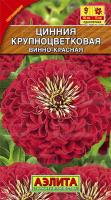 Цинния Крупноцветковая винно-красная 