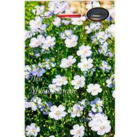 Лен Голубой 20*0,5 