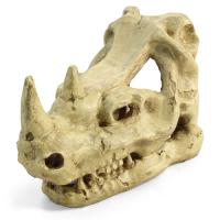 Грот Череп носорога 180*105*120мм 2802LD 