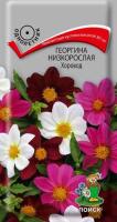 Георгина Хоровод 10шт  Георгина Хоровод 10шт