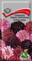 Скабиоза тёмно-пурпурная Разбитое сердце 10 шт Скабиоза тёмно-пурпурная Разбитое сердце 10 шт