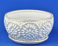 Астра  плошка 1 27-123/575695