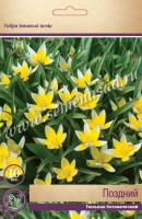 Тюльпан Ботанический поздний  (6/7) 10 шт