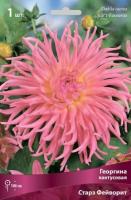 Георгина кактусовая Старз Фейворит (I) 1 шт 