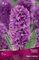 Гиацинт Садовый Мисс Сайгон (14/15) 3шт.