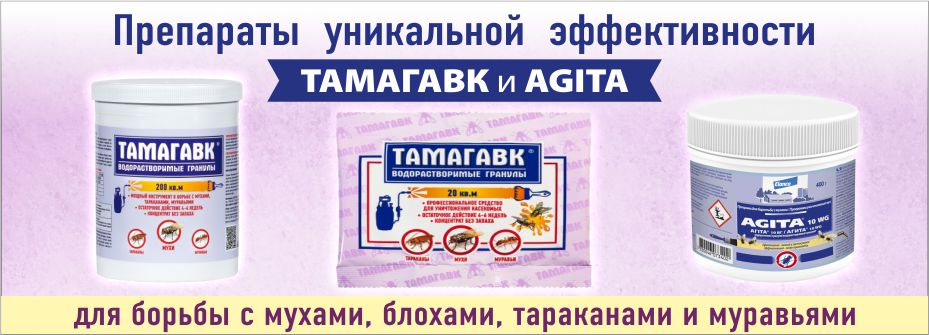 от бытовых насекомых