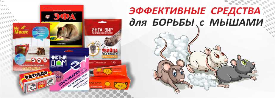 от крыс и мышей от крыс и мышей
