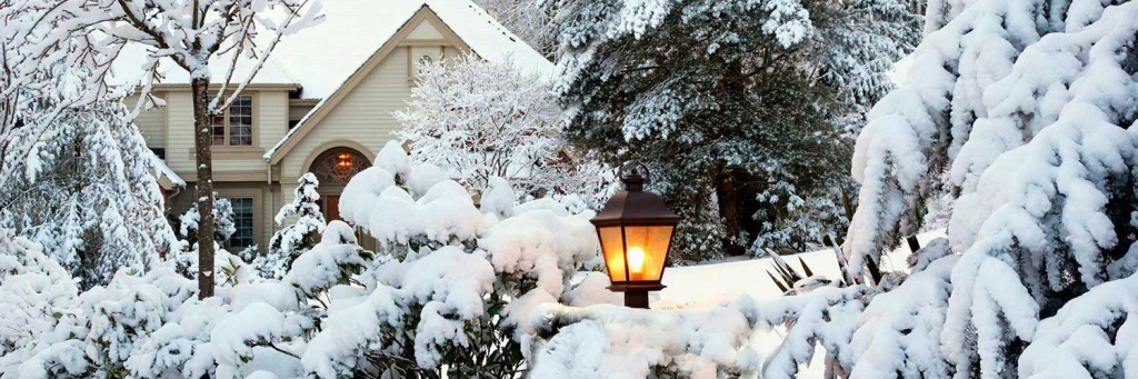 1500x5001.jpg 1500x5001.jpg