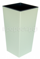 Рапис сл кость