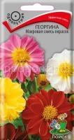 Георгина Махровая смесь окрасок