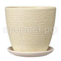 гнездо шампань крокус гнездо шампань крокус