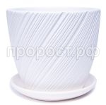 солома бел солома бел