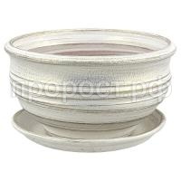 697403фиалочница белжемч 697403фиалочница белжемч