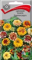 Цинния Хаага Огненная радуга Цинния Хаага Огненная радуга