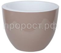 орион фраппе орион фраппе