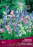 Пролеска колокольчатая Смесь окрасок (голубой, белый, розовый, 10шт, 7-8) 723271