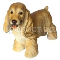 спаниель спаниель