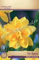 Нарцисс Тет Букль