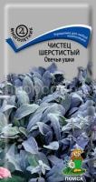 Чистец шерстистый Овечьи ушки Чистец шерстистый Овечьи ушки