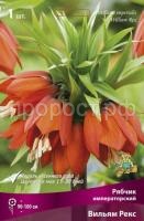 ryabchik_impera_villiam_rex_kaper