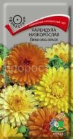 Календула низкорослая Пигми смесь окрасок Календула низкорослая Пигми смесь окрасок