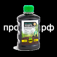 кедр кедр
