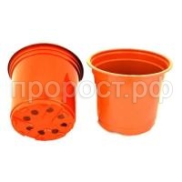 de1b868f-9b52-11eb-8103-00155d386501_1f834278-9bb4-11eb-8103-00155d386501-800x800