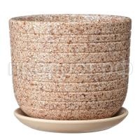 Пряности бежевый бук Пряности бежевый бук