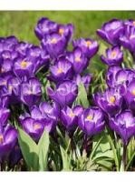 Без названия (10) Без названия (10)