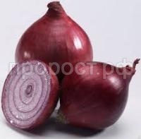 Без названия Без названия