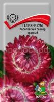 Гелихризум Королевский размер красный Гелихризум Королевский размер красный