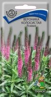 Вероника колосистая Розовая