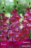 вельвет айз