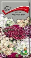 Флокс Мерцающая звезда Флокс Мерцающая звезда