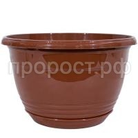 П100855_0 П100855_0