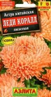 астра леди коралл.1 астра леди коралл.1