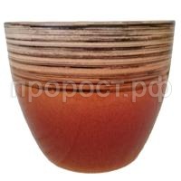 бамбук браун бамбук браун